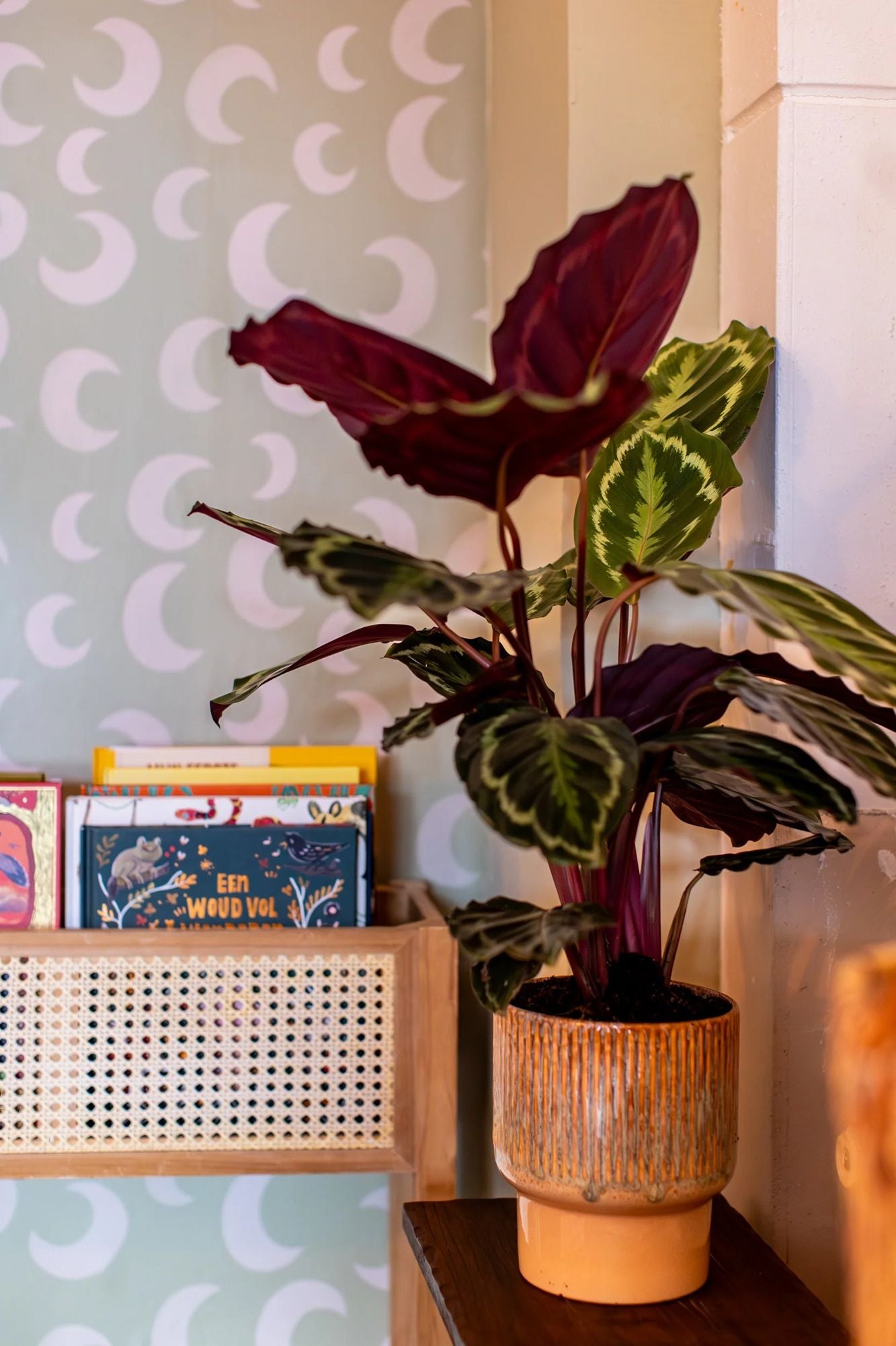 Meet me at the Wall Moon Pistache groen manen behang voor de babykamer of neutrale kinderkamer.