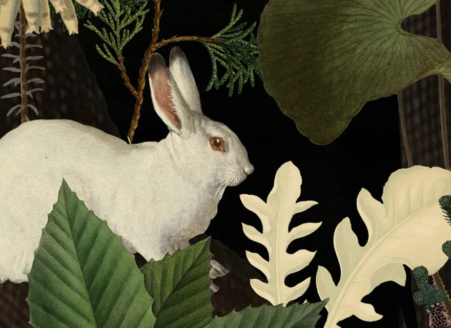 Rebel Walls Rabbit Hole Mural fotobehang bos natuur jungle moss groen jongenskamer en meisjeskamer 17131