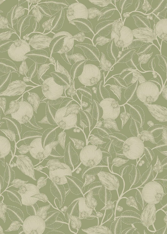 Summer Gray pomegranate granaatappel behang voor de kinderkamer en babykamer Apple Green lichtgroen