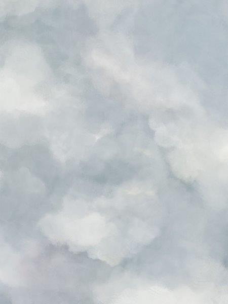 Sky mural van Borastapeter wolken behang voor neutrale kinderkamer en babykamer 9559W