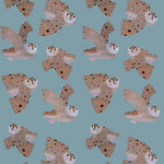 Aniek Bartels x Meet me at the wall owl uilen dierenbehang behang meisjeskamer babykamer lichtblauw