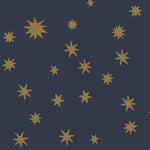 Joelle Wehkamp x Meet me at the wall sterren behang starry night voor de kinderkamer meisjeskamer  jongenskamer babykamer blauw