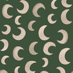 Meet me at the Wall moon behang fern groen