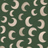 Meet me at the Wall moon behang fern groen
