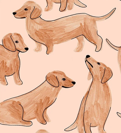 Season Paper behang voor de kinderkamer teckels honden bruin