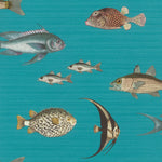 Studio Onszelf behang voor de kinderkamer vissen blauw