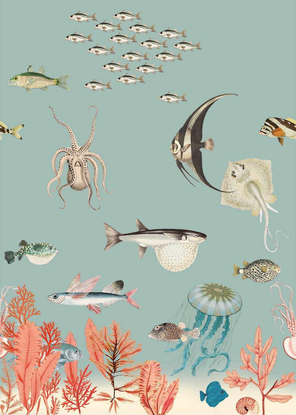 Studio Onszelf zeedieren behang voor de kinderkamer sea life lichtblauw