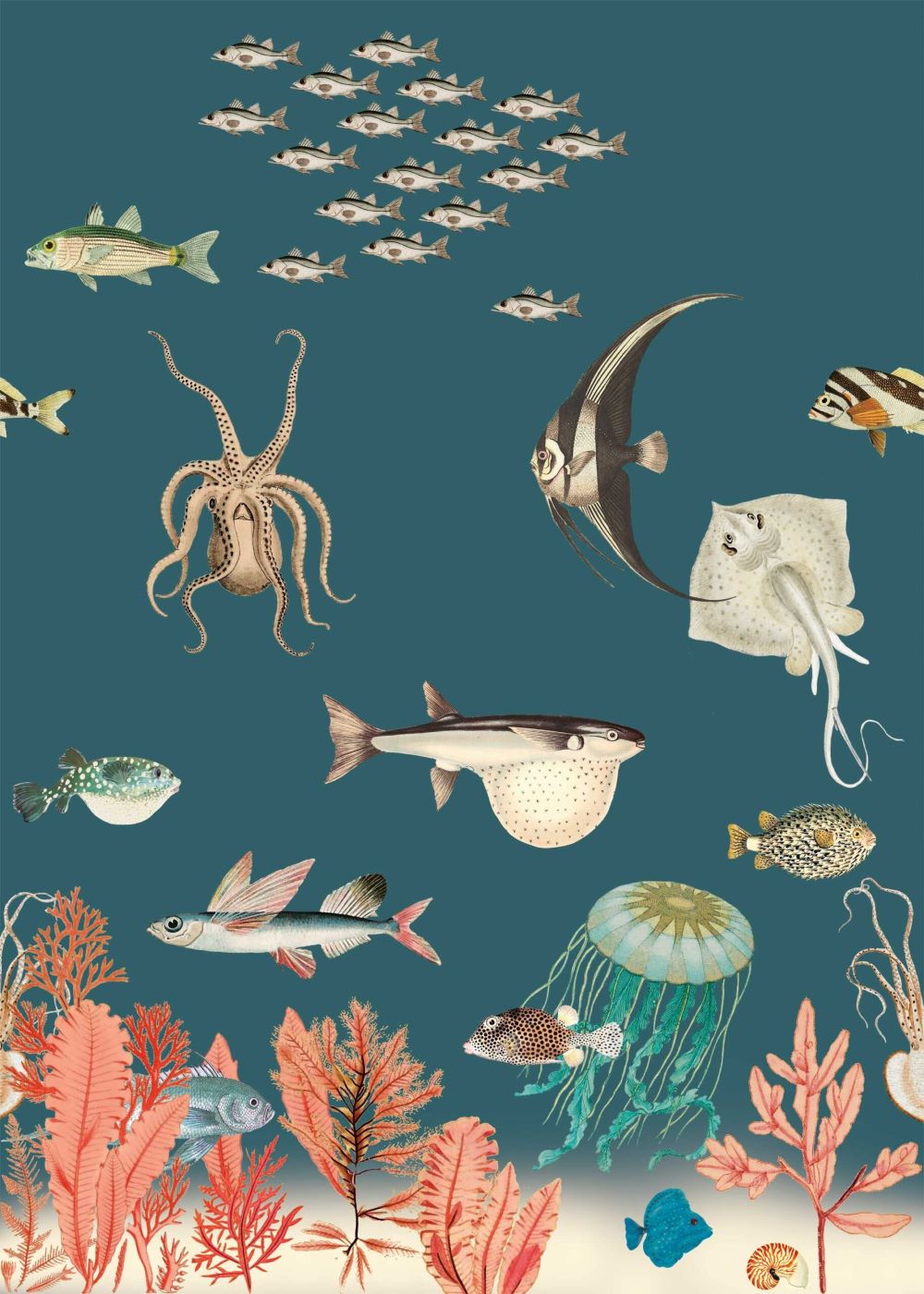 Studio Onszelf Behang voor de kinderkamer Sea Life Zeedieren
