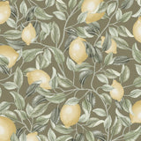 Summer Gray Lemon Trees Sage Green Citroenen behang voor de kinderkamer groen bruin
